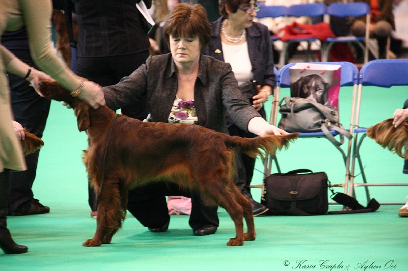 Crufts2011 123.jpg